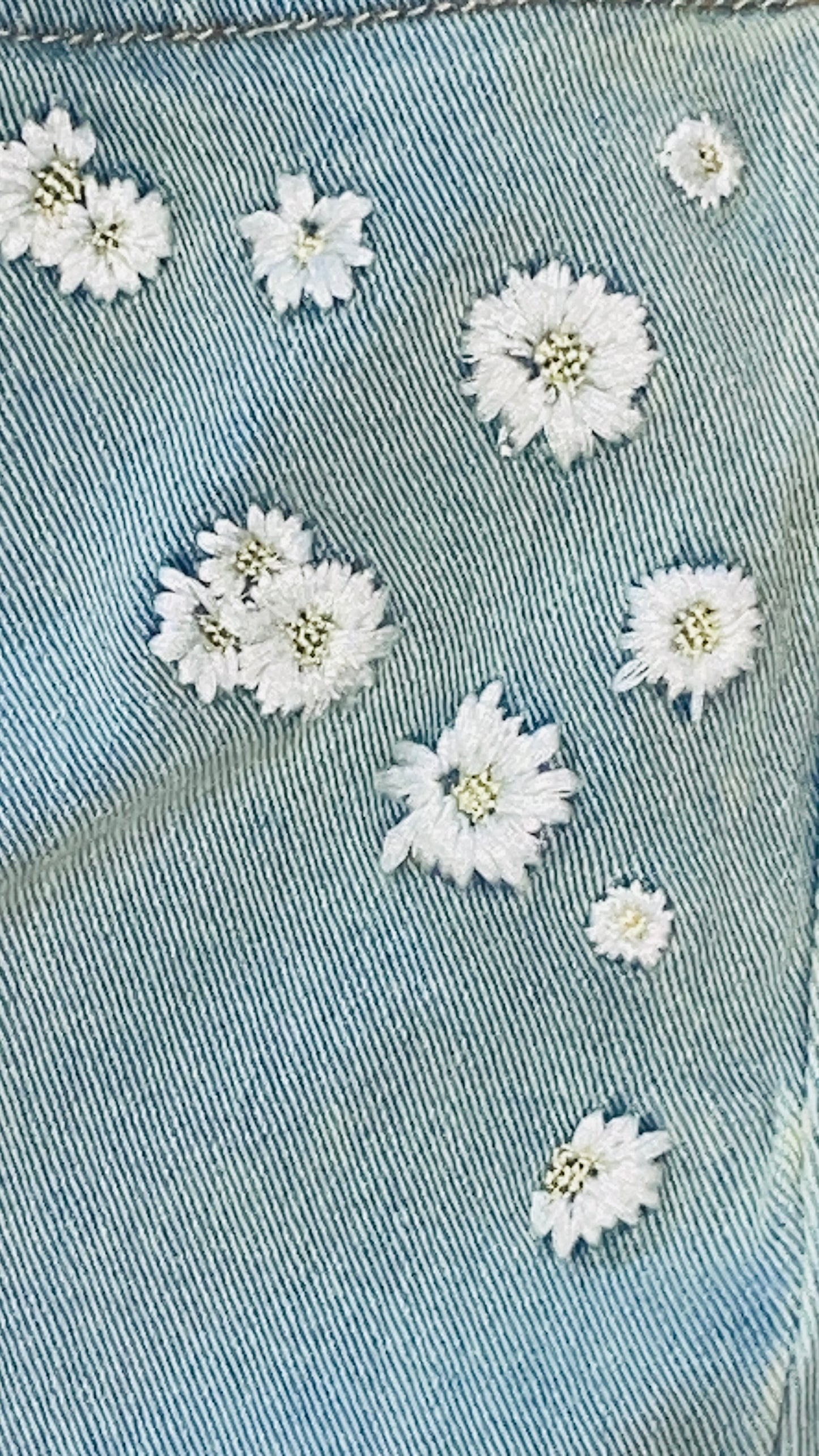 Womens PLUS Jessica Simpson Daisy Flare  Cropped Capri Jeans